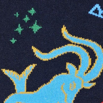 capricorn