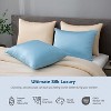 APSMILE Hair and Skin Friendly 100% Mulberry Silk Pillowcases Set of 2 - 2 of 4