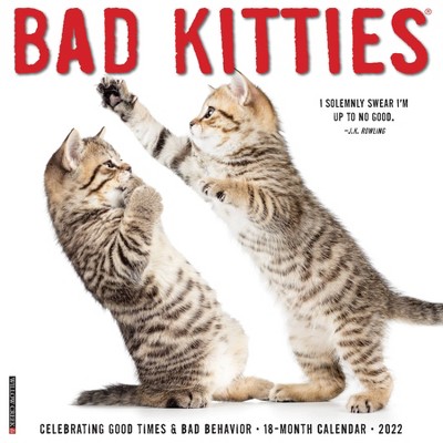 2022 Wall Calendar Bad Kitties - Willow Creek Press