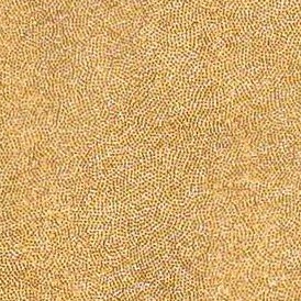 gold sparkly shimmer