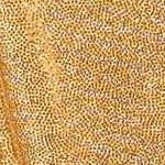 gold sparkly shimmer