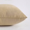 2 Pack Microfiber Toddler Pillows, Soft Down Alternative Travel Pillows - NTBAY - 3 of 4