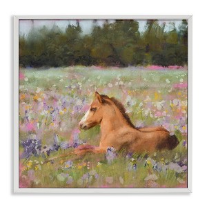 Stupell Industries Foal Horse Lounging Flower Meadow Framed Giclee Art - 1 of 4