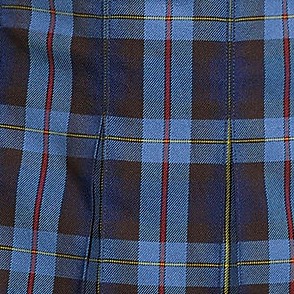french blue plaid