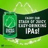 Hop Valley Bubblestash IPA - 1pk/19.2 fl oz - 3 of 4