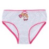 Textiel Trade Girl's Skye Paw Patrol Assorted Briefs (4-Pack) - 3 of 4