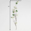 Sullivans Artificial Creamy Berry Long Drop Stem 34"H Green - 3 of 3