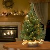 National Tree Company 24" Majestic Fir Tree with Clear Lights - 2 of 4