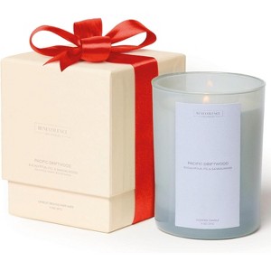 Benevolence LA Sun Kissed - Pacific Driftwood Scented Candle - 1 of 4