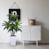 Indoor Artificial Dracaena Tree, Large Artificial Plant with Planter, Adjustable Leaves for Home Office Living Room Decor, 120cm/150cm - 4 of 4