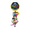 Prevue Pet Products 62507 Tropical Teasers Party Time Bird Toy - 3 of 3