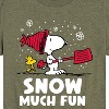 Boys' - Peanuts - Snoopy and Woodstock Snow Much Fun Short Sleeve Graphic T-Shirt - 2 of 4