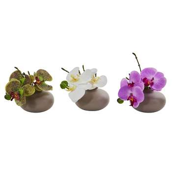 7" x 6.5" 3pc Artificial Phalaenopsis Orchid Arrangement in Ceramic Pot Set - Nearly Natural