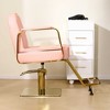 LOVMOR 360° Swivel Reclining Salon Barber Chair with Heavy Duty Hydraulic Pump for Hair Stylists Home Barbershops - 4 of 4