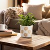 Planter and Flower Pot for Home Decor - Modern Planters with Sweet Floral Print for Living Room, Garden, or Patio Decor - 3 of 4