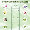 Garden Trellis, 87 Inch Iron Trellis for Climbing Plants, Outdoor Arched Wire Lattice Panel, Climbing Plant Support Structure for Roses, Vine, Flower - 3 of 4