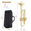 Professional Standard Trumpet for Beginners & Students - Gold Lacquer Brass with Hard Case, Mouthpiece, Cleaning Kit, Gloves & Polish Cloth - 3 of 4