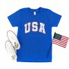 The Juniper Shop USA Blue Willow Youth Short Sleeve Tee - 3 of 4