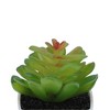 Unique Bargains Artificial Plants Plastic Green 2.2"x2.2"x2.56" 1 Pcs - 4 of 4