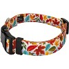 Country Brook Design® Deluxe Dog Collar - Awesome Autumn Collection - Made In The U.S.A. - 4 of 4