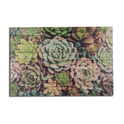 24" x 36" Succulent Garden Print on Planked Wood Wall Sign Panel Assorted Greens - Gallery 57