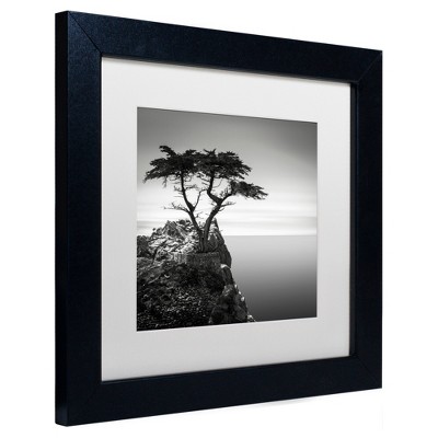"The Lone Cypress" Outdoor Canvas