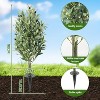 Artificial Olive Tree with Ground Thorns, 2-piece Set 3 Feet, UV-resistant Fake Shrub, Flood Plant, Black Imitation Olive Tree, Garden Fake Plant - 2 of 4
