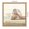 Amanti Art Driftwood Shell IV by Danhui Nai Canvas Wall Art Print Framed 16 x 16-in. - 4 of 4