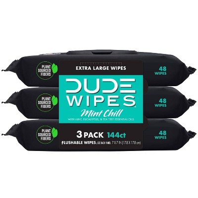 Dude Wipes Mint Chill Flushable Wipes