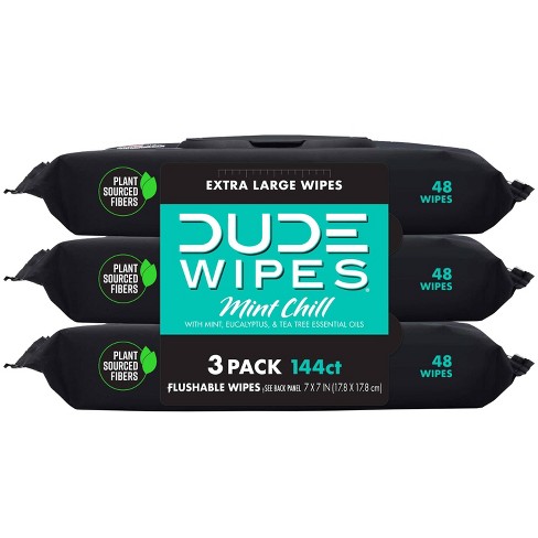 Dude Wipes Mint Chill Flushable Wipes - 3pk/48ct - image 1 of 4