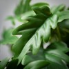 Sullivans Artificial 16.5" Philodendron Leaf Bush, Green - 2 of 2