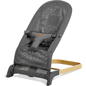 Foldable Baby Bouncer, 3-Height Adjustable, Portable Newborn Rocker, Ergonomic Bouncer Seat for 0-6 Months, Breathable Mesh (Grey) - 1 of 1