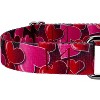 Country Brook Petz Martingale Dog Collar - Affection Collection - 4 of 4