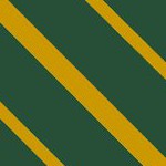 portland timbers