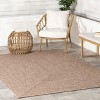 Nuloom Wynn Braided Indoor/Outdoor Area Rug - 2 of 4