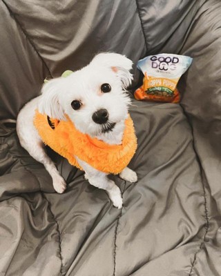 We love carrots! 🥕#naturalpetcare #healthydog #doghealthcare