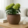 Rustic Wide Round Plant Pot for Indoor Plants or Outdoor - Traditional Clay Design That Adds Timeless Charm to Porch, Patio, or Entryway - 9" Brown - 2 of 4