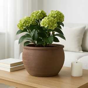 Rustic Wide Round Plant Pot for Indoor Plants or Outdoor - Traditional Clay Design That Adds Timeless Charm to Porch, Patio, or Entryway - 9" Brown - 1 of 4