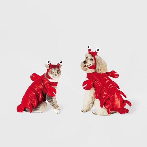 Dog in 2024 lobster costume