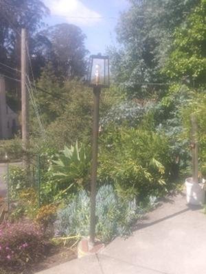 Guest review image 2 of 2, zoom in