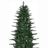 Perfect Holiday 11ft Unlit Green Aspen Fir Christmas Tree - 4269 Tips 77" Diameter with Stand - 3 of 4