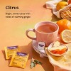 Yogi Tea - Sweet Ginger Citrus Turmeric Vitality -  64 ct, 4 Pack - 4 of 4
