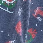 santa sleigh