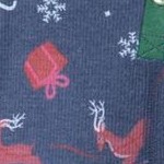 santa sleigh