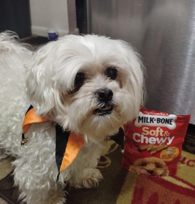 Guest review image 1 of 4, zoom in