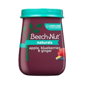 Beech-Nut Naturals Apple Blueberry Ginger Baby Meals Jar - 4oz - 1 of 4