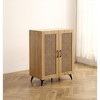 Vynxaria Elegant Rattan Mesh Double-Door Shoe Storage Cabinet - 29.5 Inches - 2 of 4