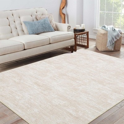 Acekool Modern Washable Area Rug, Soft Non Slip Minimalist Low Pile Carpet for Living Room, Bedroom, Dorm