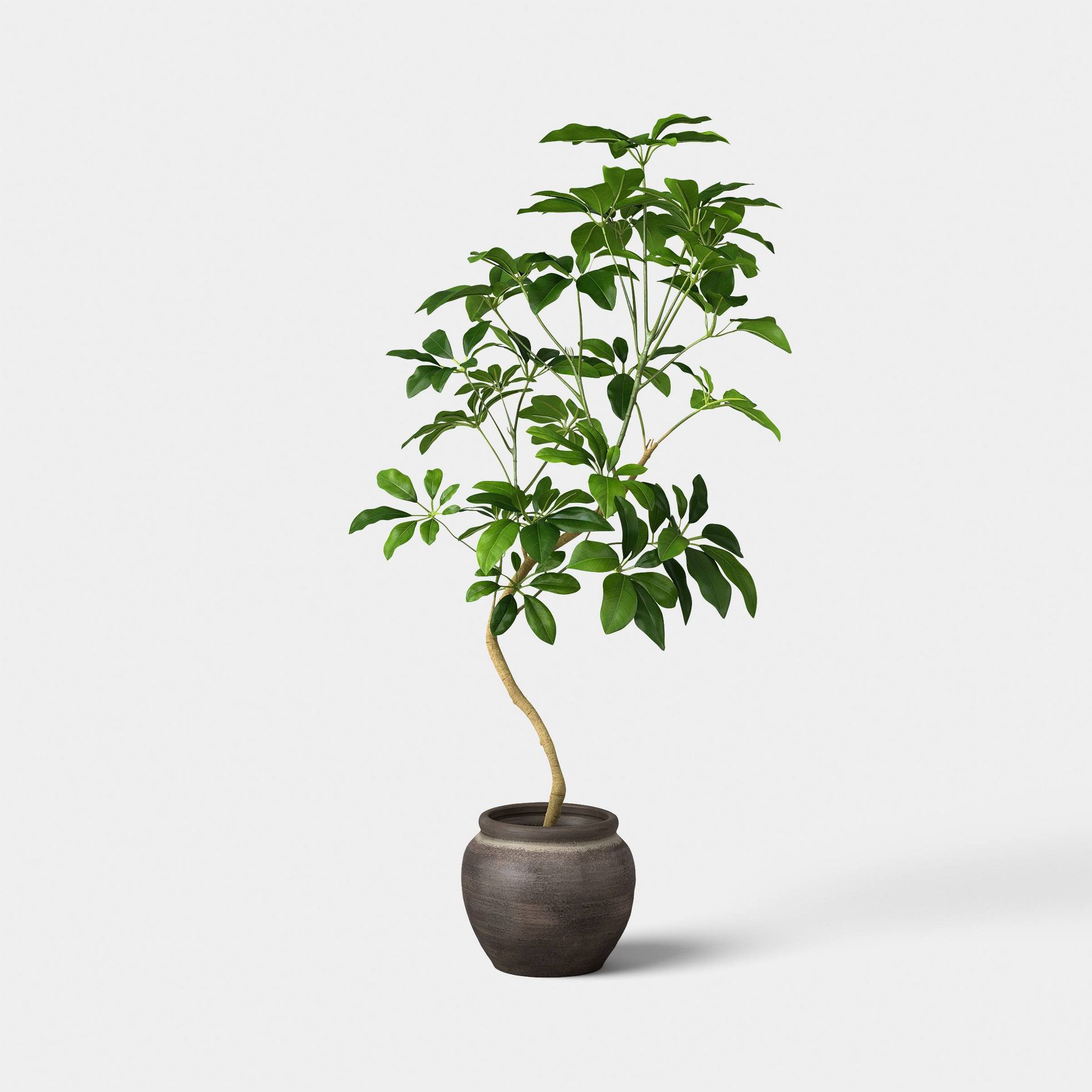 39" Spade Leaf Tree - Threshold™