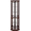 Okak Corner Curio Cabinet with 2 Glass Doors and Adjustable Tempered Glass Shelves, Corner Cabinet for Living Room, Kitchen - 4 of 4